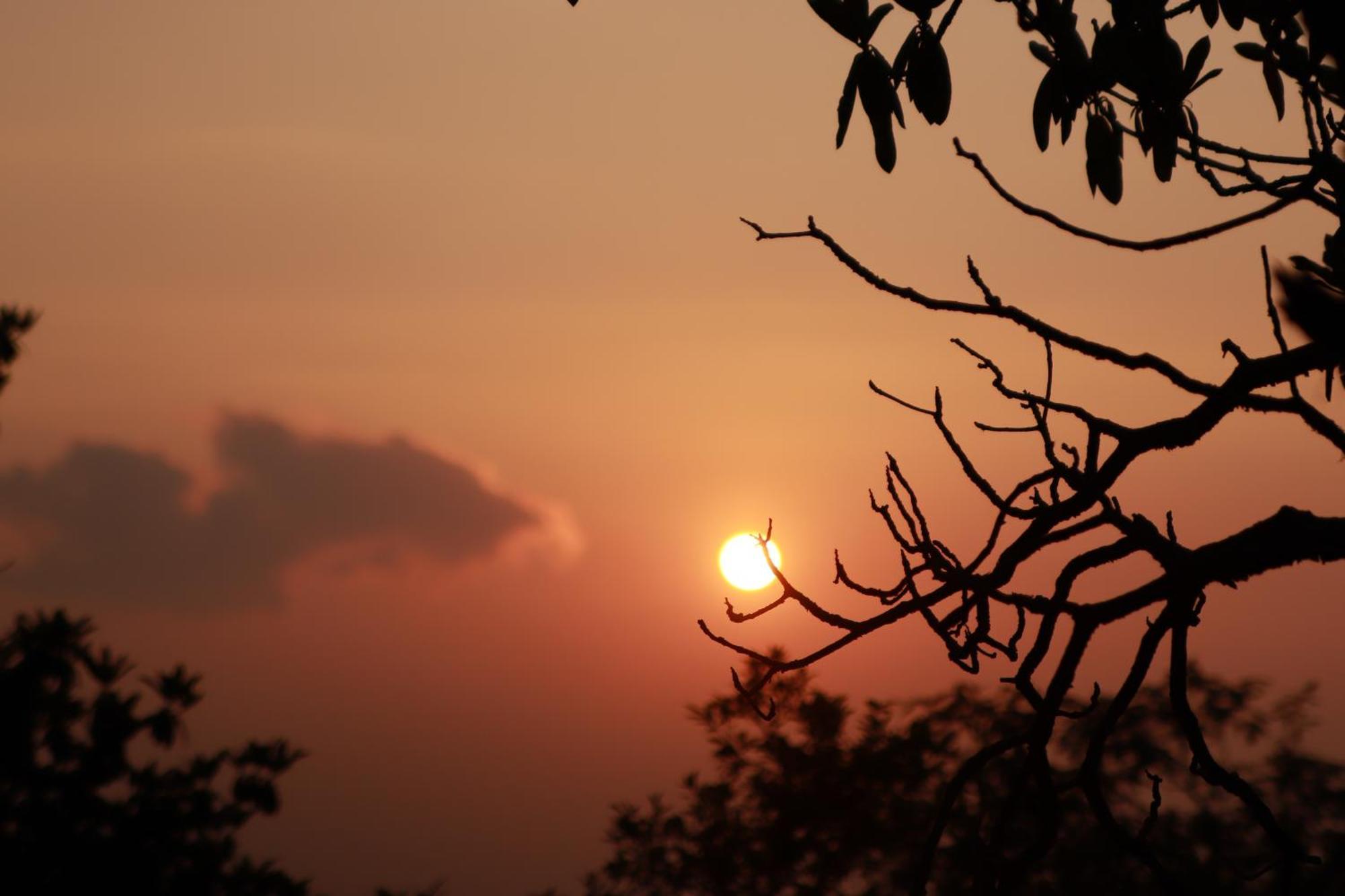 Simba Jungle Lodge, Binsar Wildlife Sanctuary מראה חיצוני תמונה