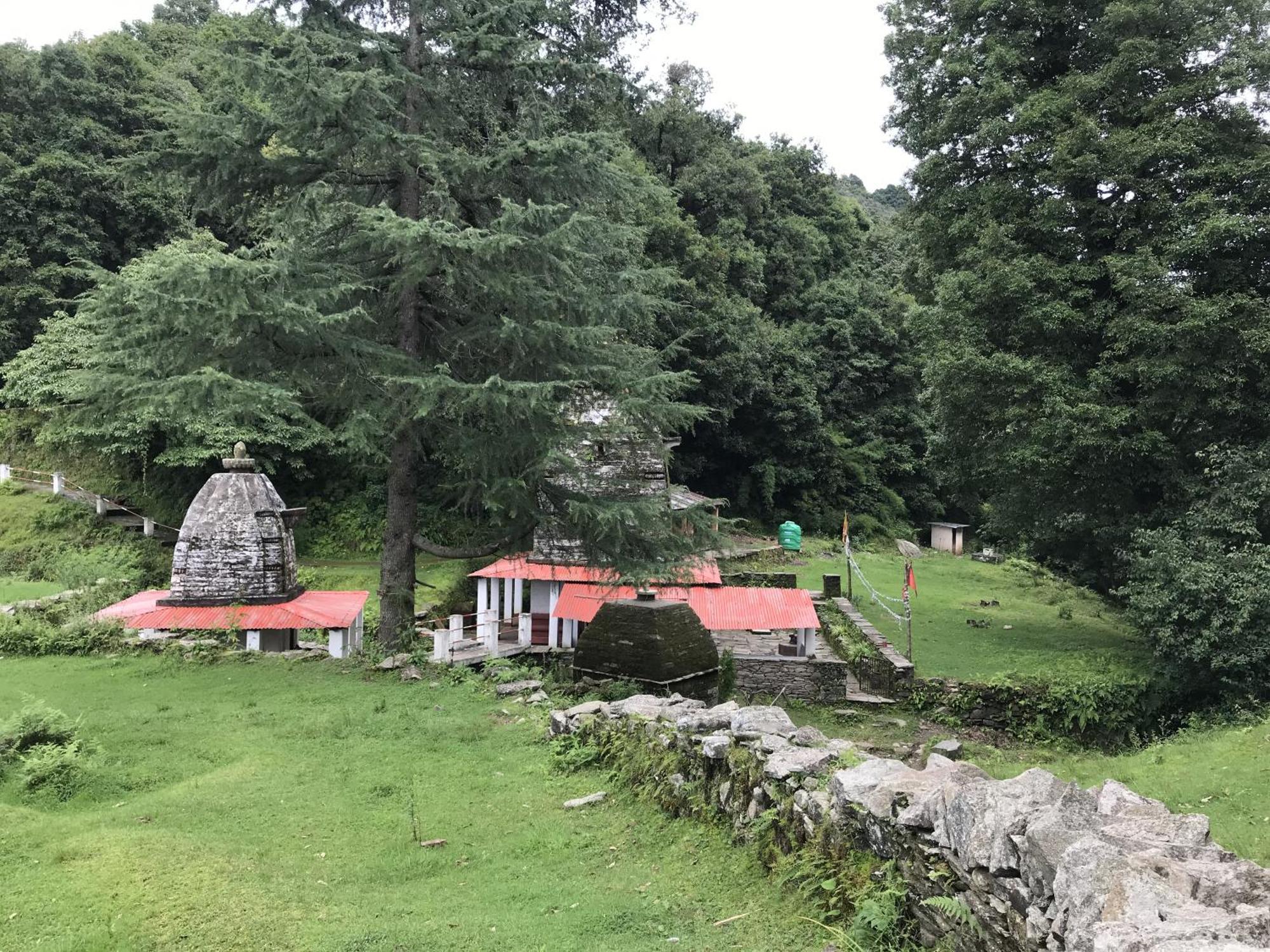 Simba Jungle Lodge, Binsar Wildlife Sanctuary מראה חיצוני תמונה