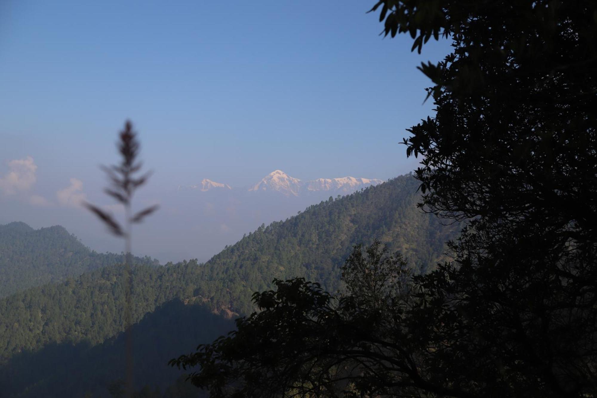 Simba Jungle Lodge, Binsar Wildlife Sanctuary מראה חיצוני תמונה