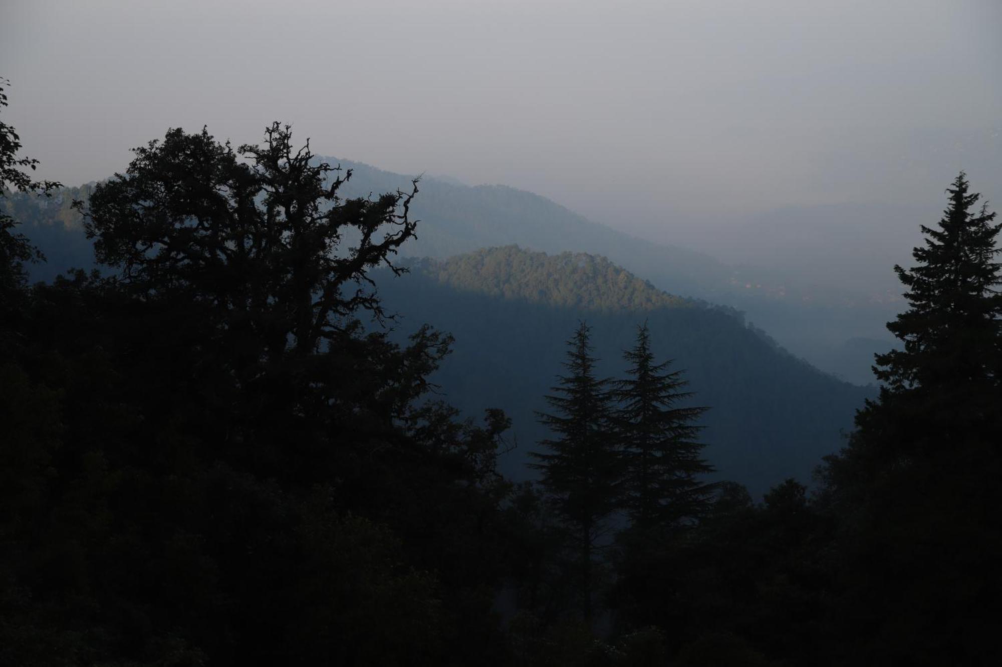 Simba Jungle Lodge, Binsar Wildlife Sanctuary מראה חיצוני תמונה