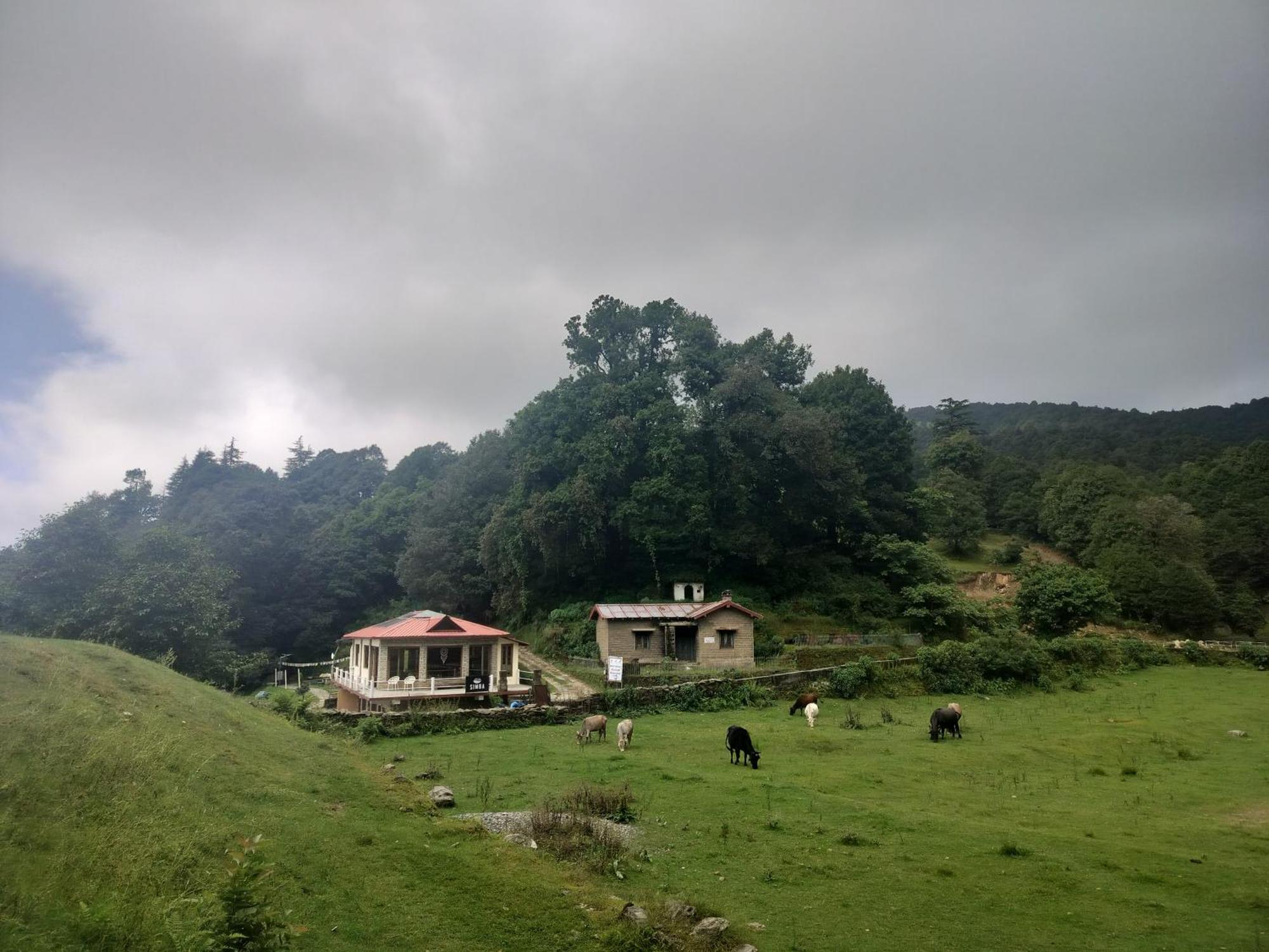 Simba Jungle Lodge, Binsar Wildlife Sanctuary מראה חיצוני תמונה