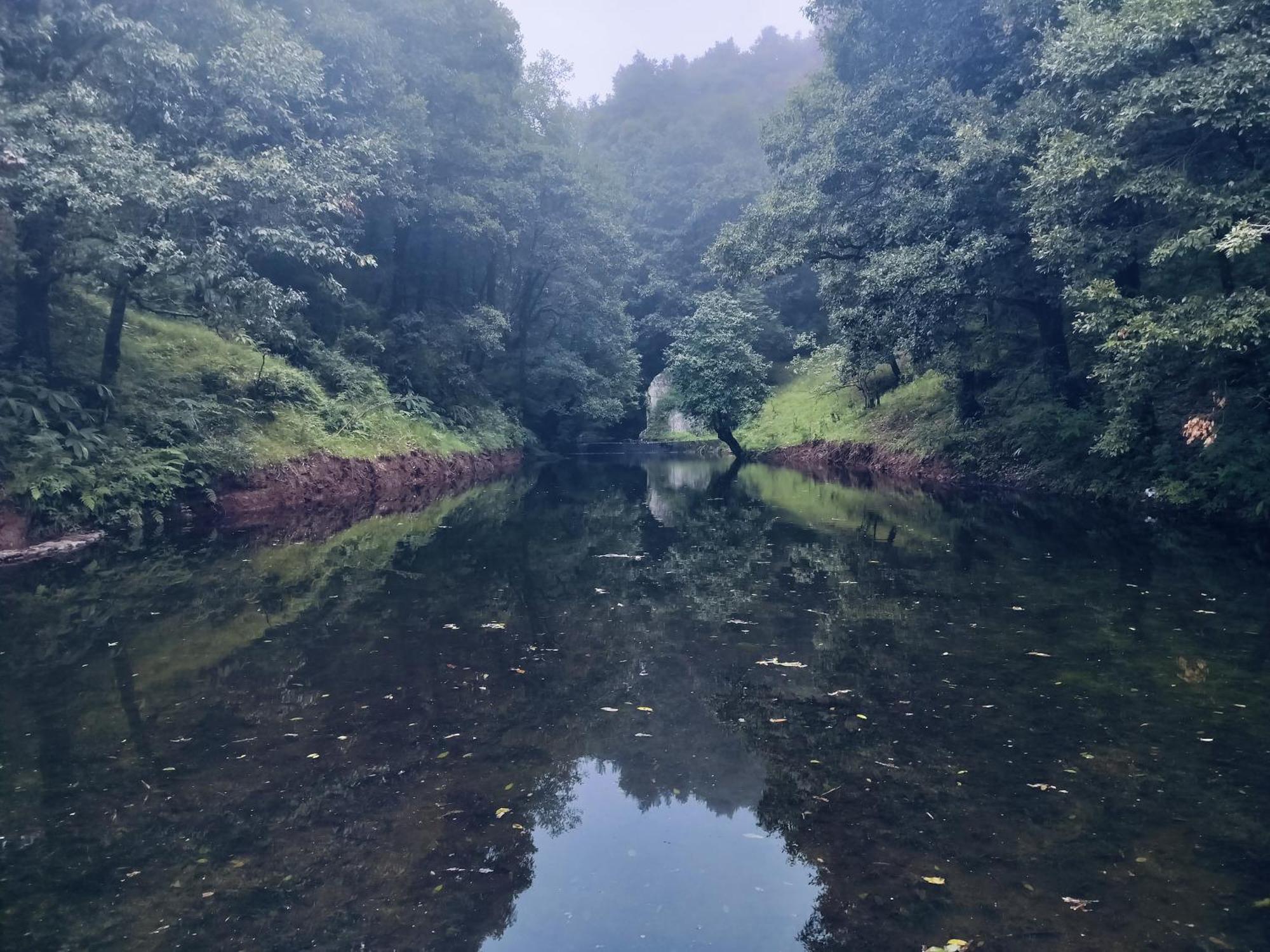 Simba Jungle Lodge, Binsar Wildlife Sanctuary מראה חיצוני תמונה
